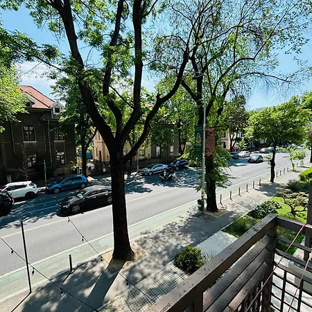 Floreasca Appartement *